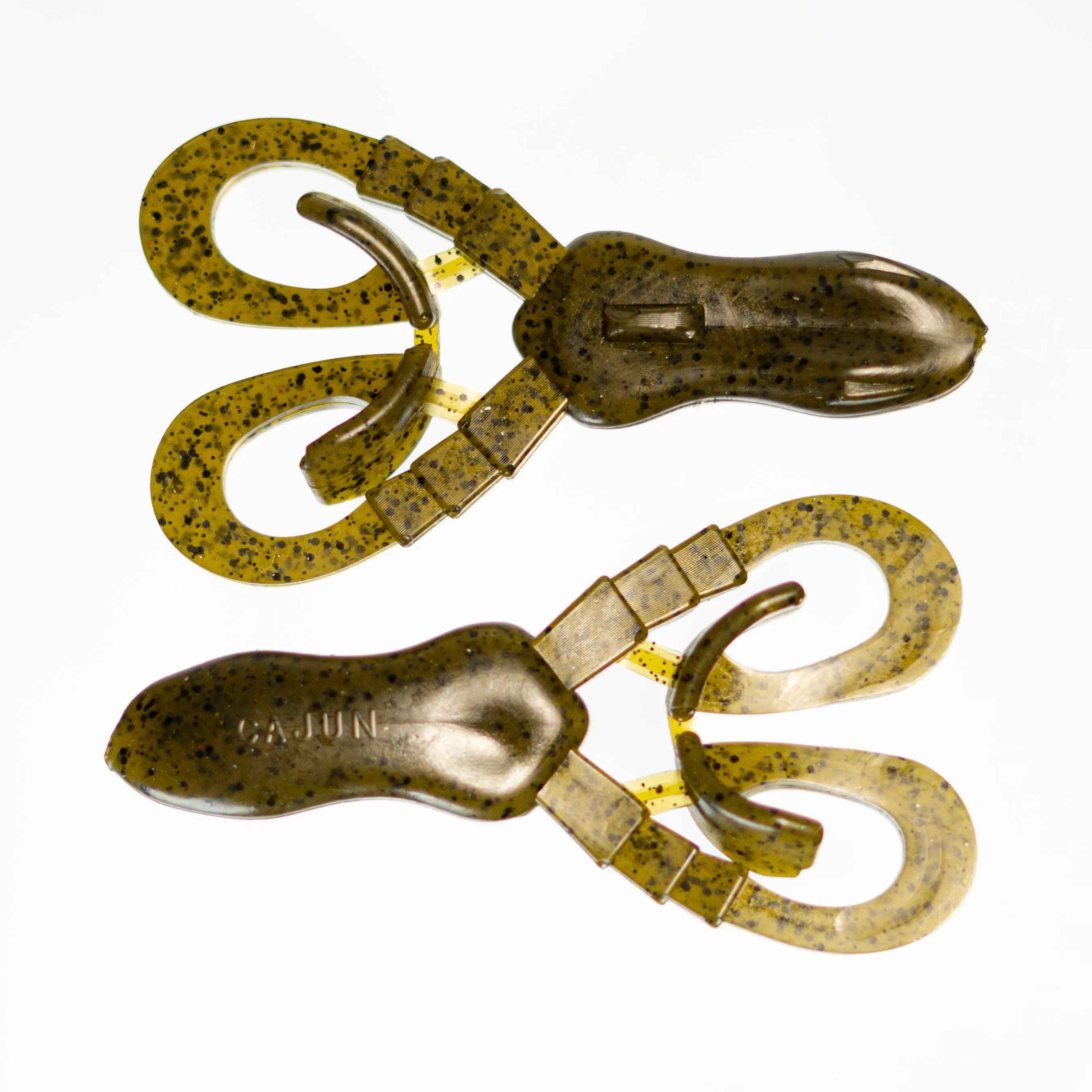 Cooyon Croaker