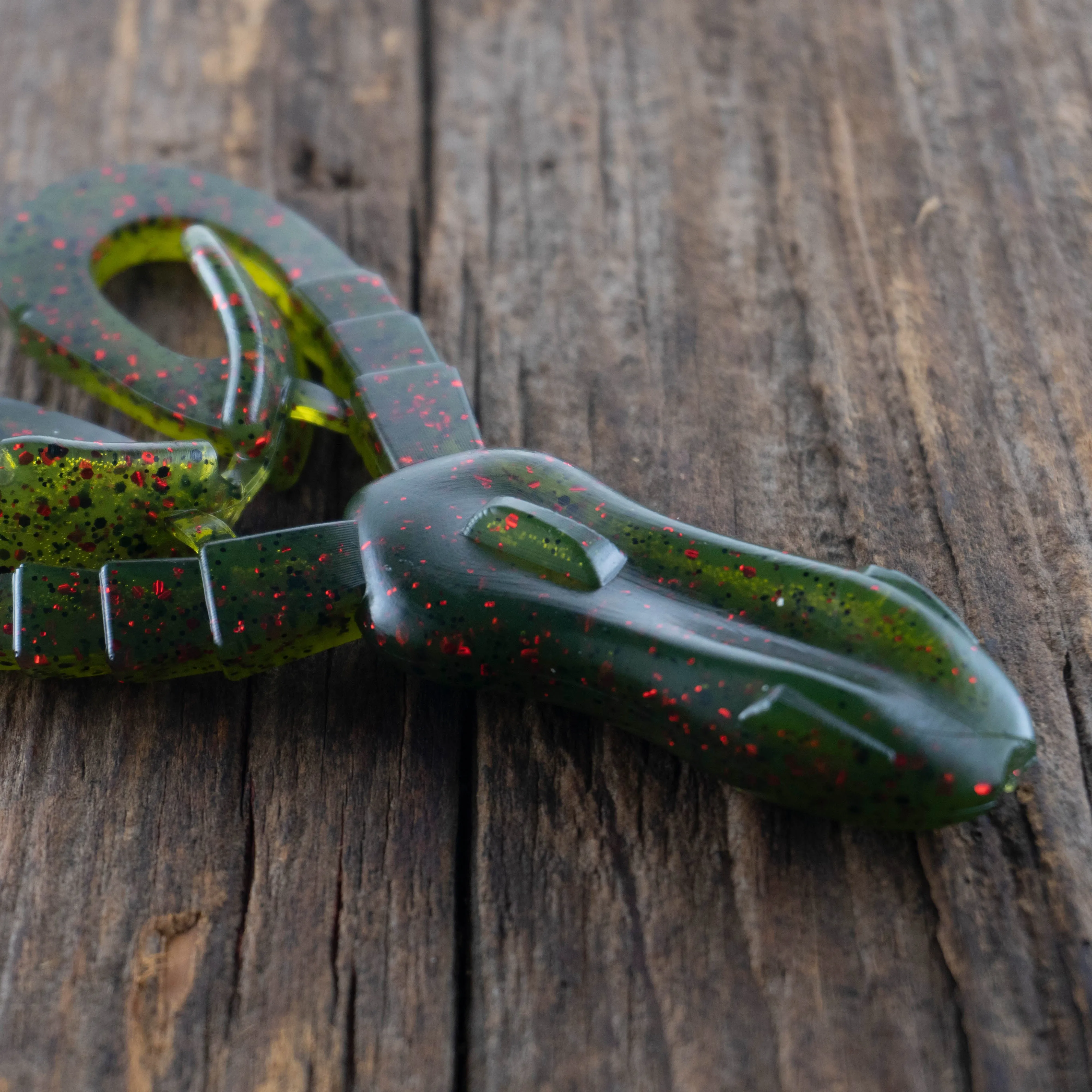 Cooyon Croaker
