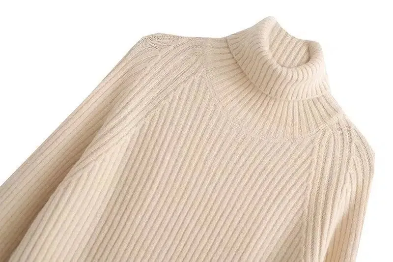 Cozy Ribbed Knit Turtleneck Dress