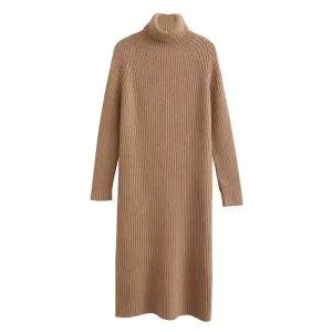 Cozy Ribbed Knit Turtleneck Dress