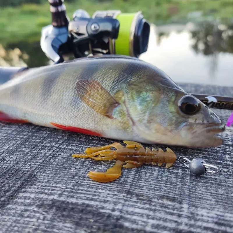 Crazy yabbie Soft Fishing Lures 65mm/10pcs 40mm/20pcs crayfish shrimp Lobster