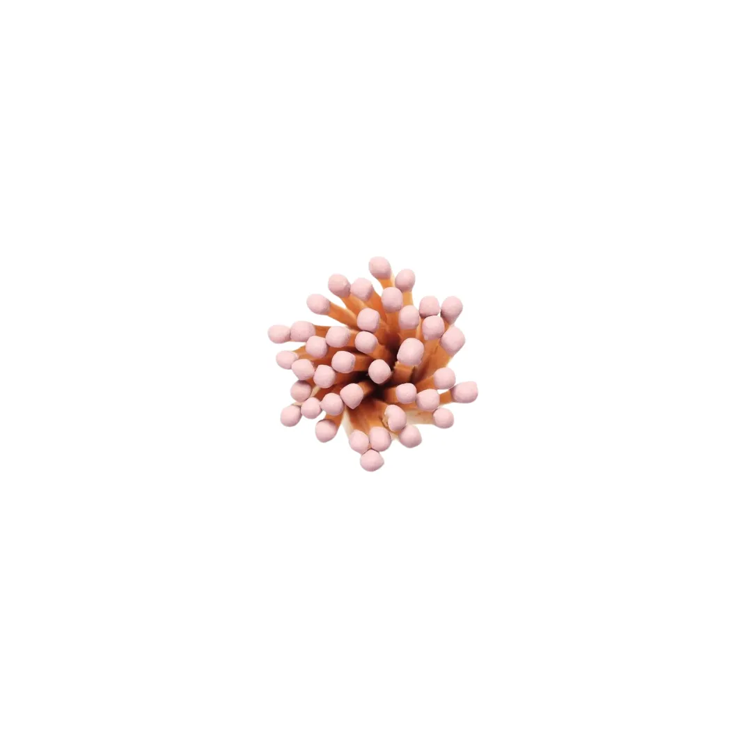 Dusty Rose Warm Abode Matches