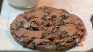 Forever Fudge