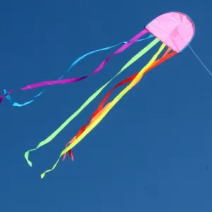 Jellyfish Kite - Made in QLD - 3 