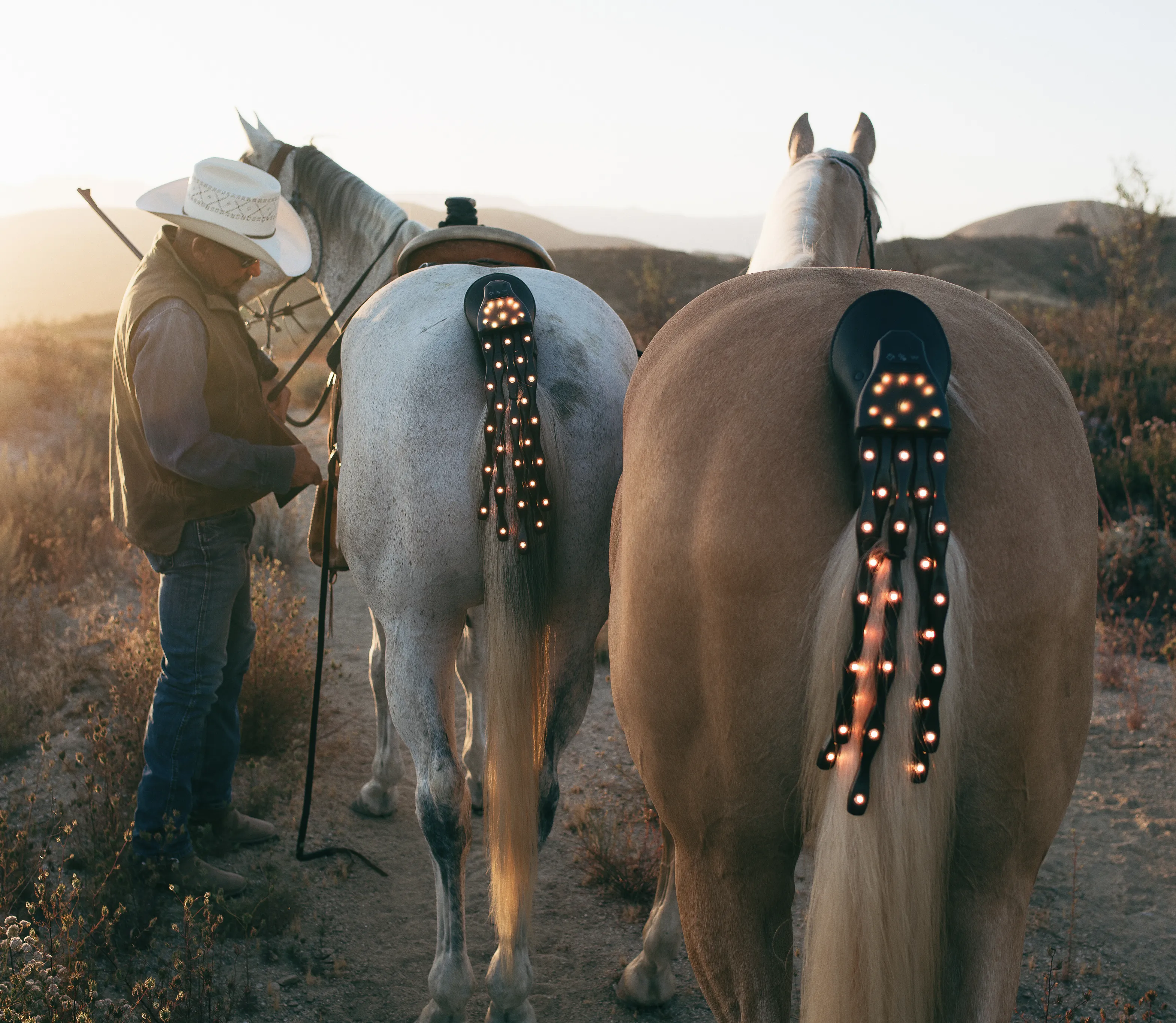 Original Tail Light