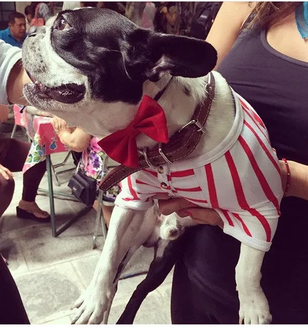 Red and White Stripped T-Shirt