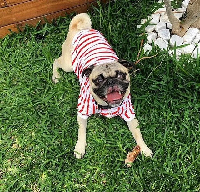 Red and White Stripped T-Shirt