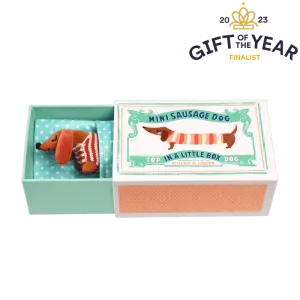 Sausage Dog in a Box