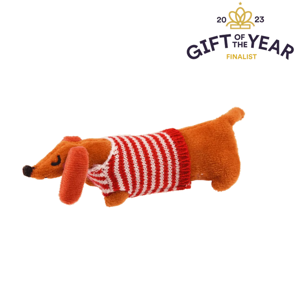 Sausage Dog in a Box