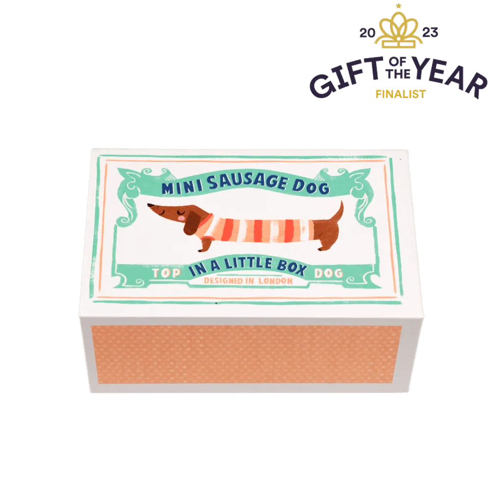 Sausage Dog in a Box