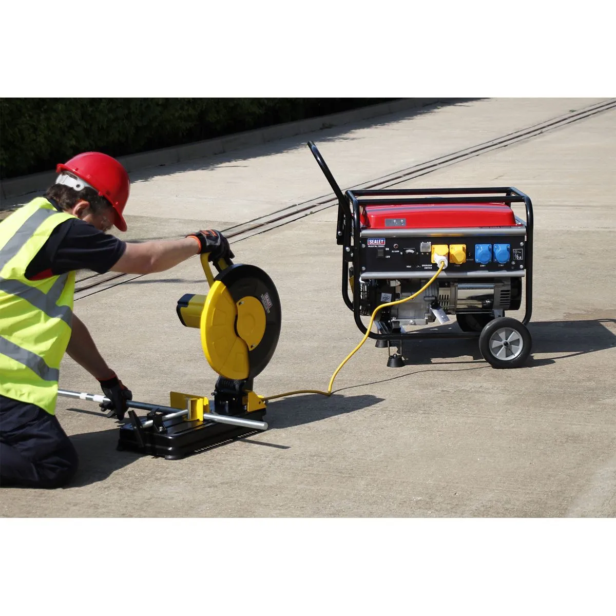 Sealey Generator 5500W 110/230V 13hp