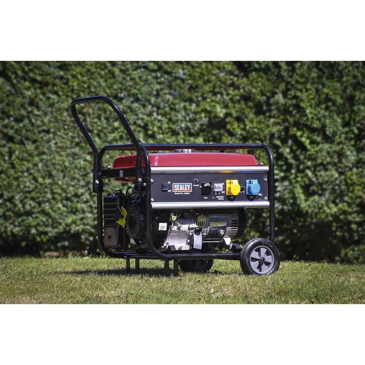 Sealey Generator 5500W 110/230V 13hp