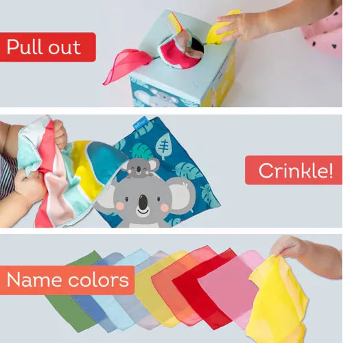 Taf Toys Wonder Tissue Box - Kimmy Koala